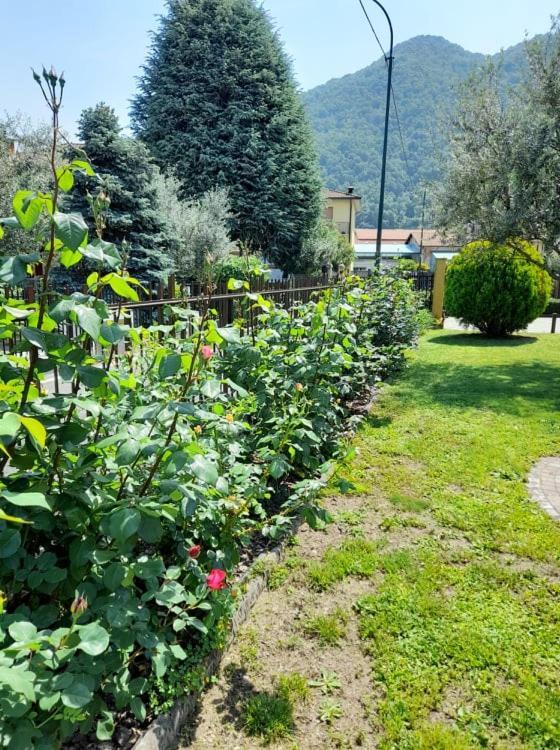 Fontana Fiorita Iseo Διαμέρισμα Εξωτερικό φωτογραφία